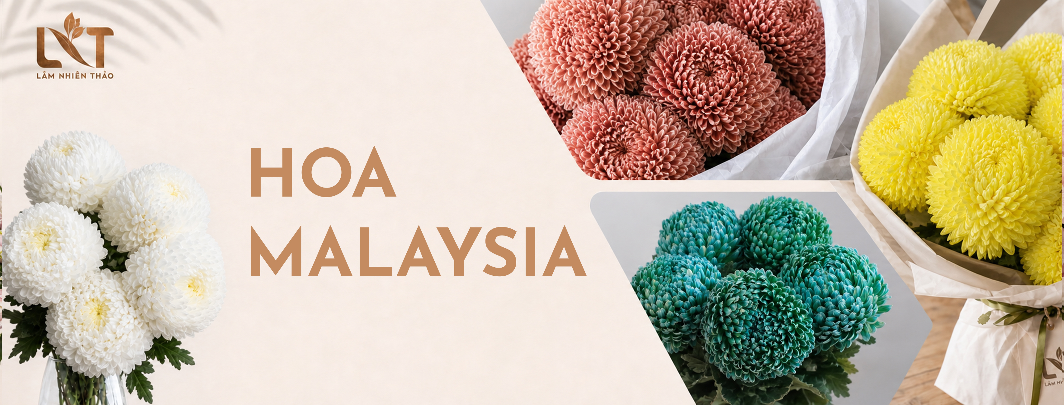 Hoa Malaysia