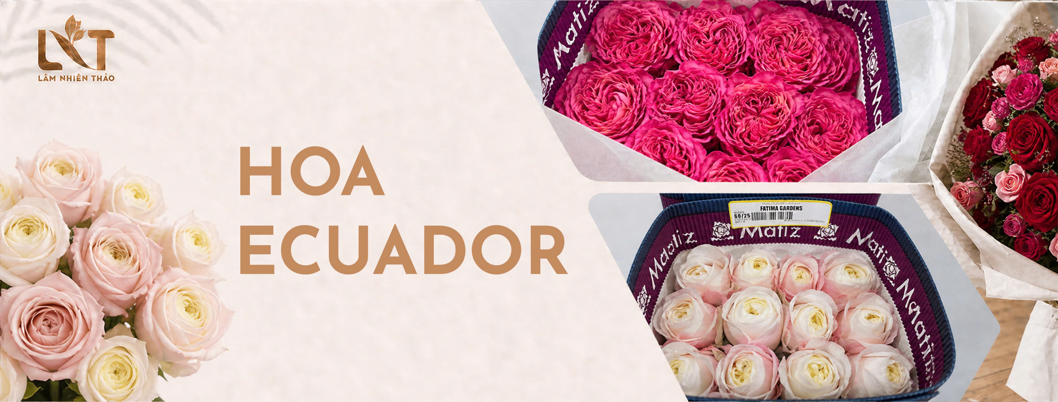 Hoa Ecuador
