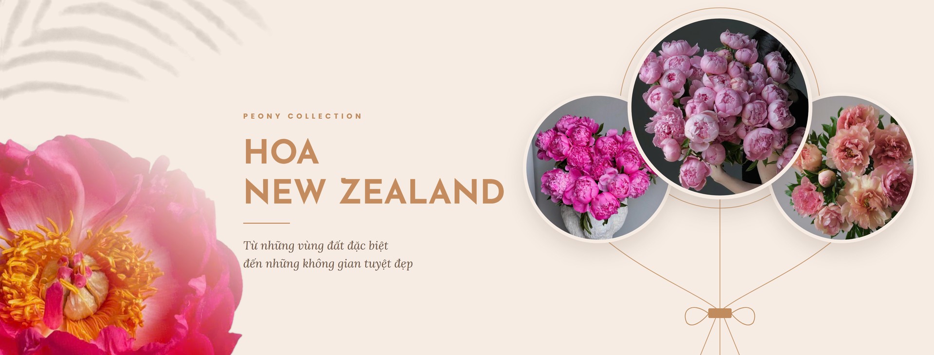 Hoa New Zealand