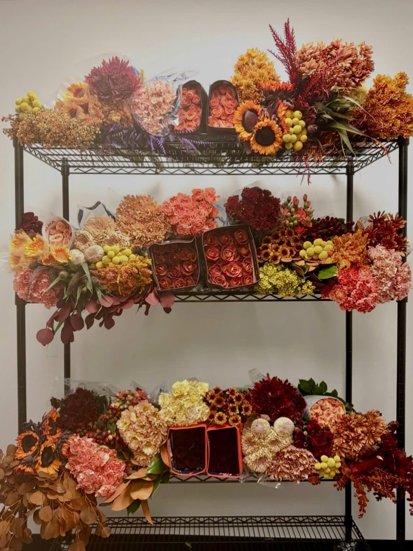 Autumn Spice - Những sắc hoa thu