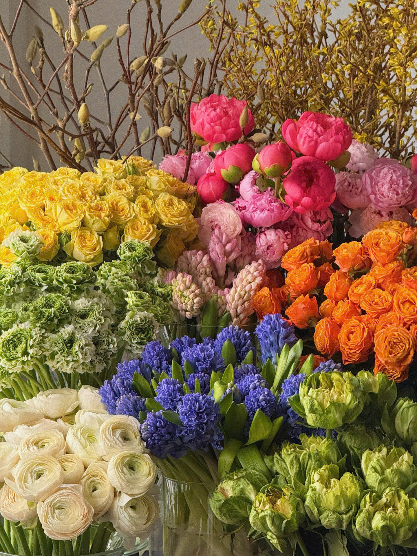 # CHĂM HOA THÂN THẢO MÙA THU ĐÔNG
